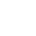 Audi Audi