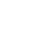 Honda Honda