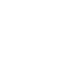 Jaguar Jaguar